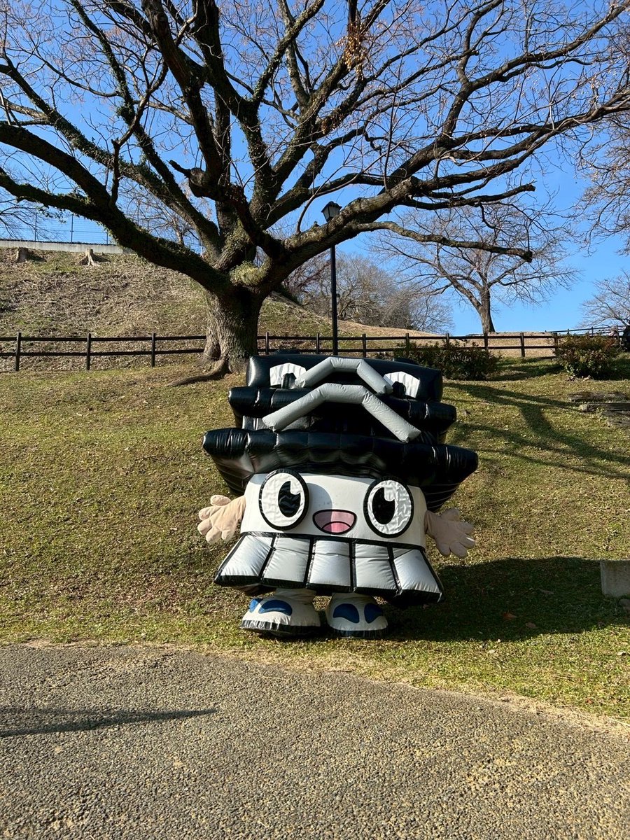 ひごまる【公式】 tweet media