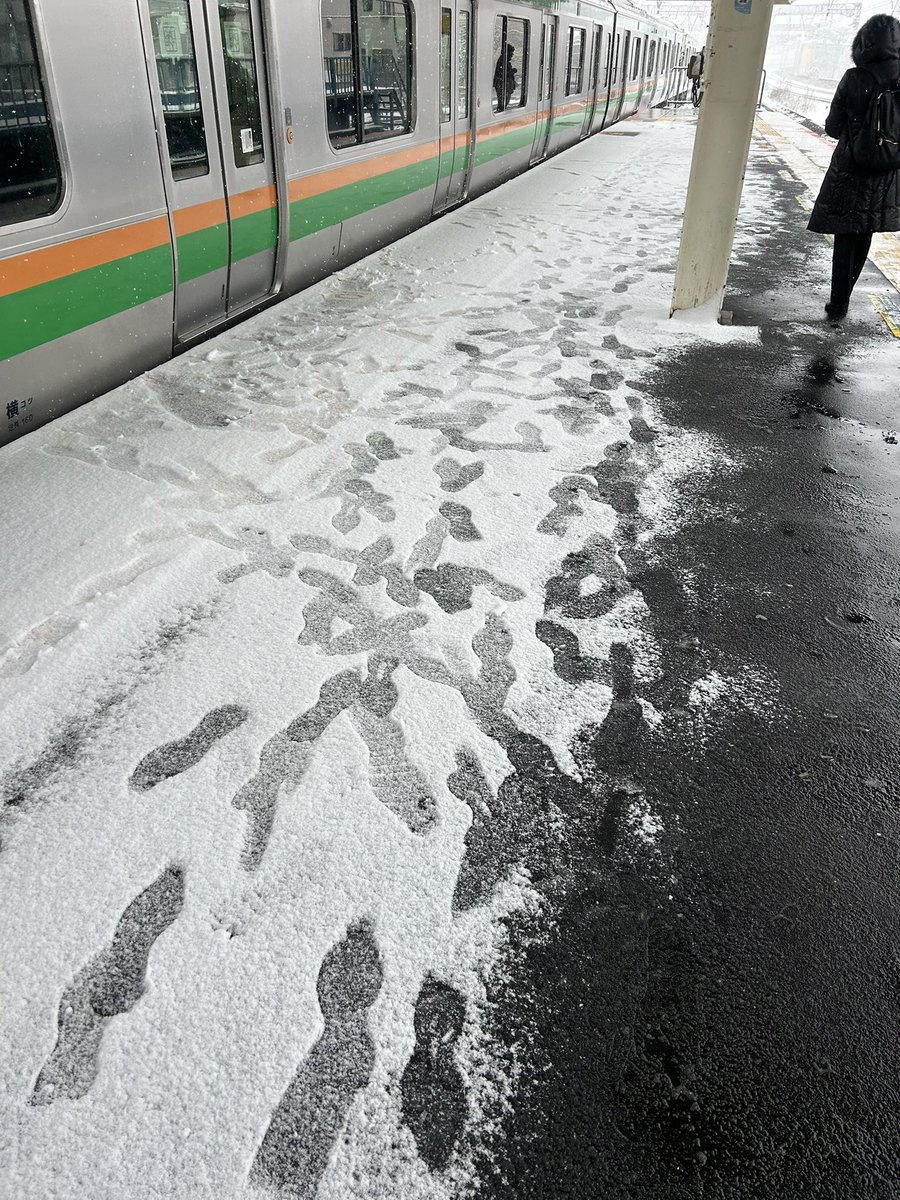 ささきんぐ@13 tweet media