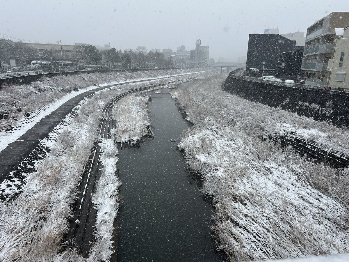 ささきんぐ@13 tweet media