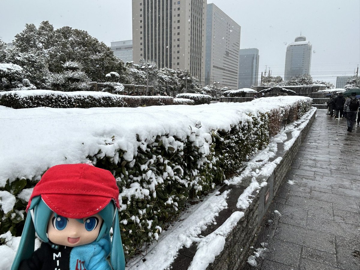 雪の幕張メッセダヨー☃️

#ミクダヨー