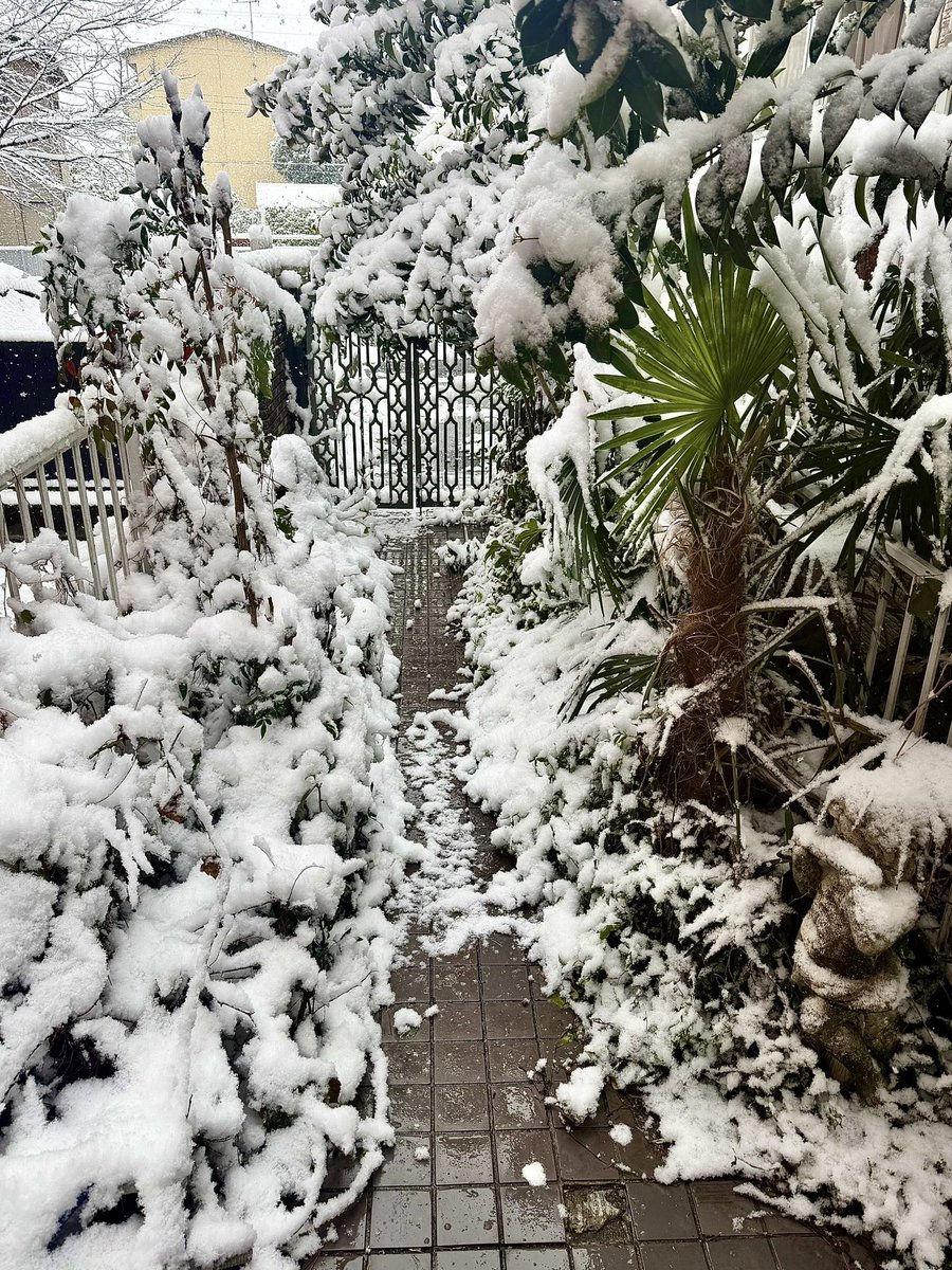 めっちゃ雪降ってて雰囲気ある 