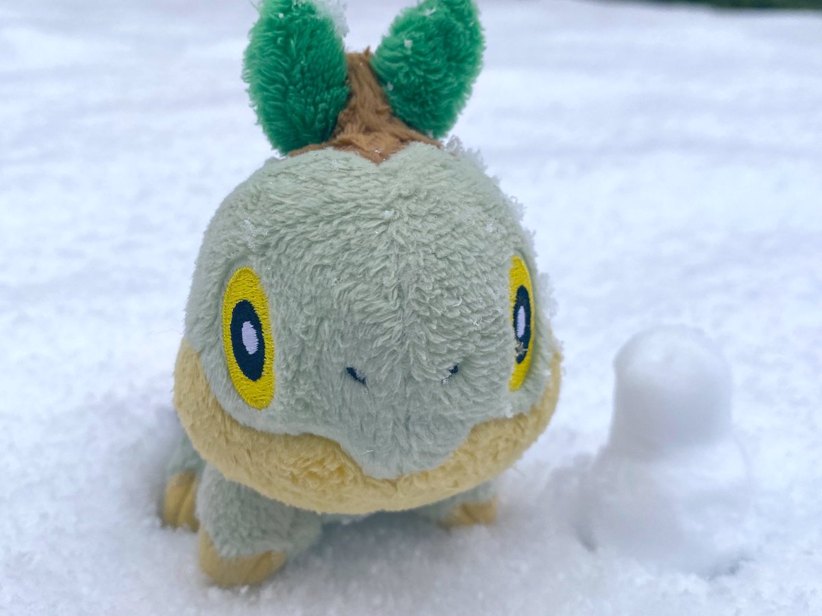 ちっちゃいナエトル tweet media