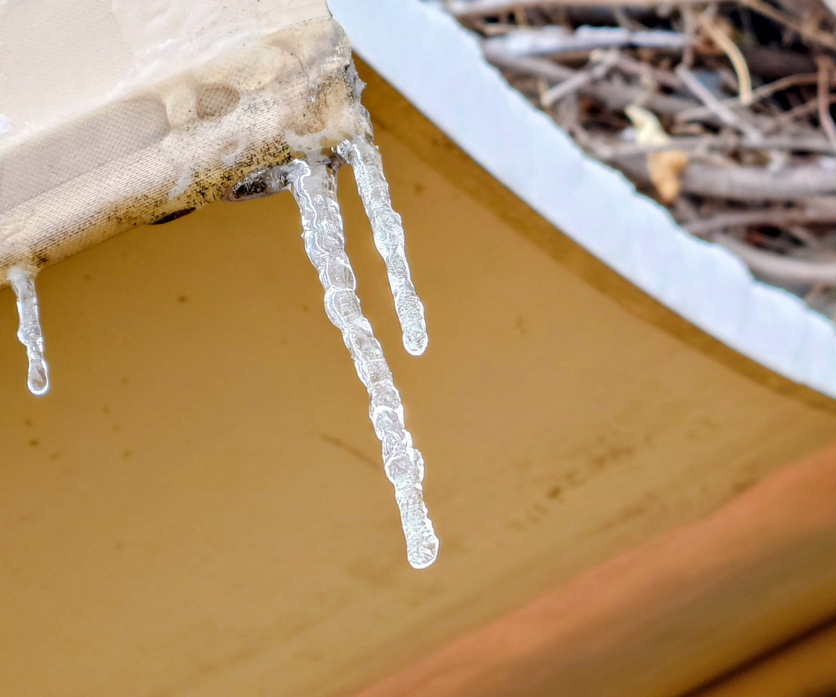 おはようございます
雪降りましたね🌨️
入口のテントには、雪が積もって氷柱ができていました⛄️

熊谷市はすでに止んでいます。
歩道は雪が有りますが、道路は場所によりといった所でしょうか。(お店の前は念の為、雪かきしました〜)

本日営業しておりますが、ご来店の際は足元と頭上にご注意を。