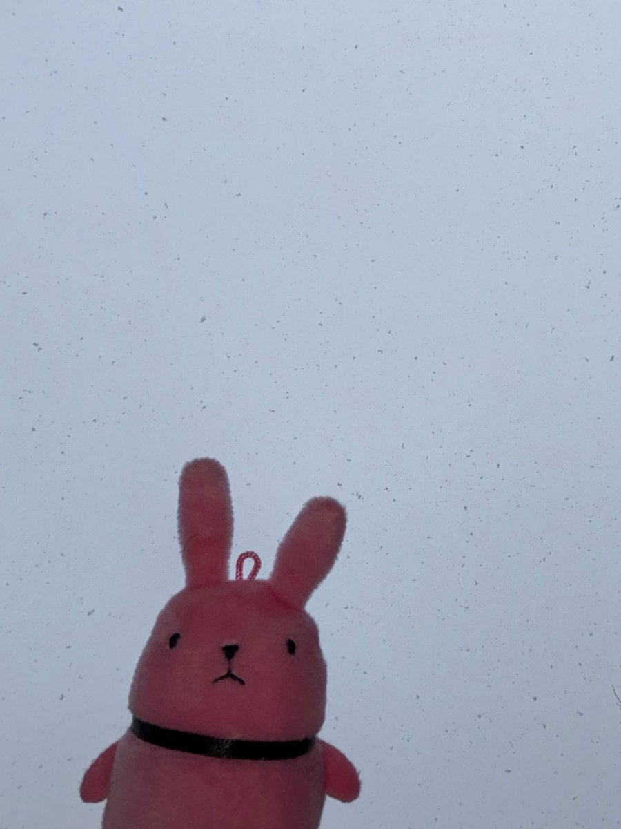 ଘ( ˙꒳​˙ )ଓ⁾⁾💔はつみ (@mdr323) / Posts / X