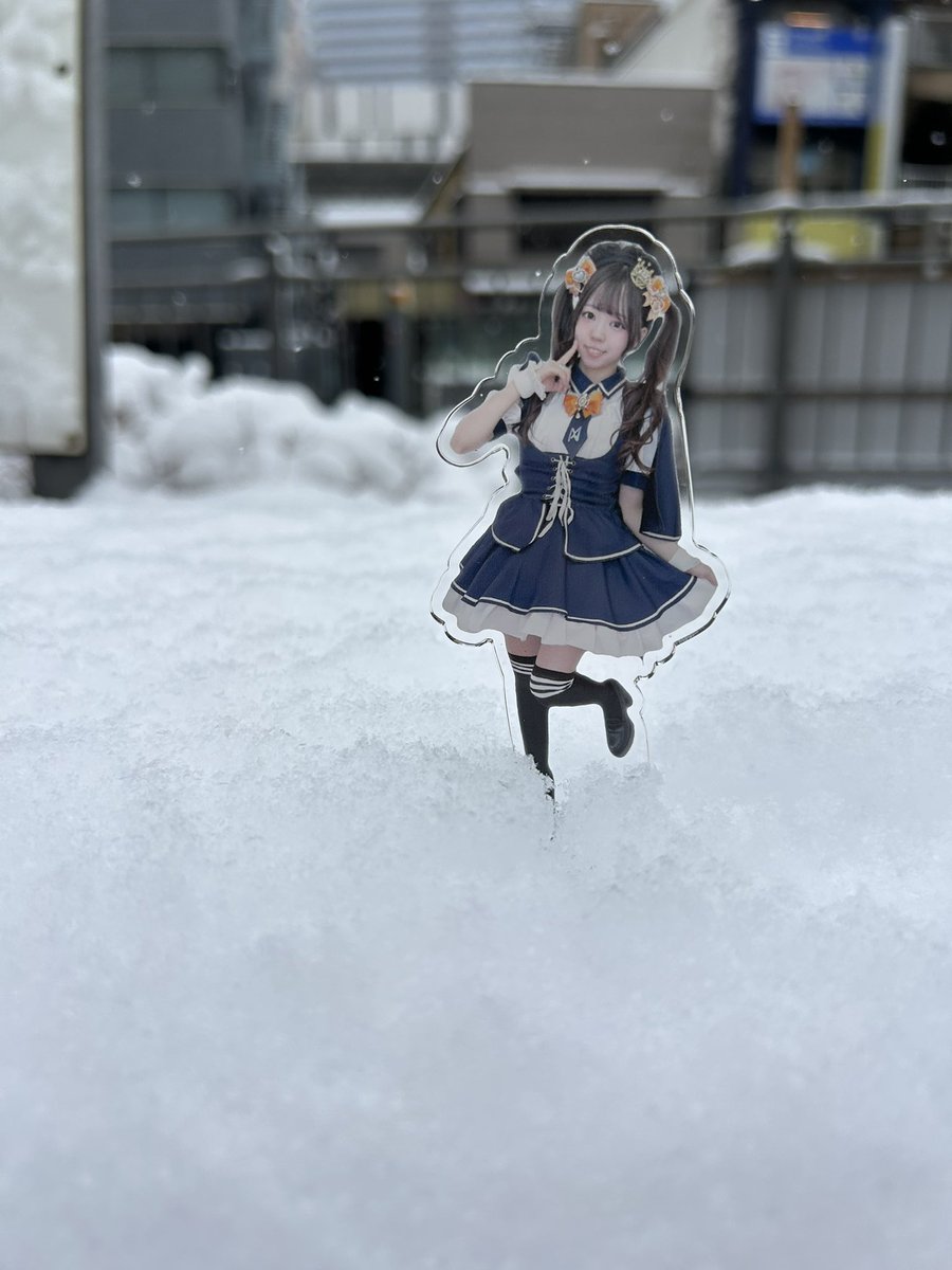 彩奈 (@13n_cat10) on Twitter photo 