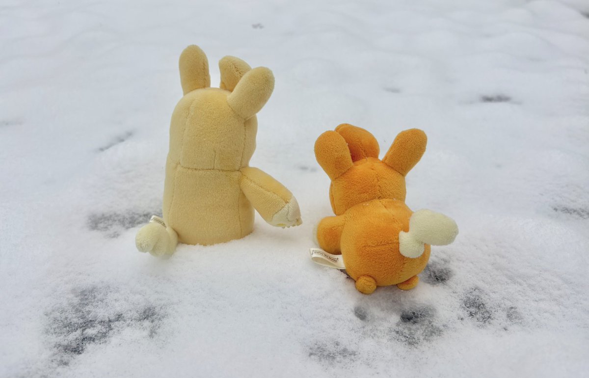 雪遊びしてた かわいいね☃️