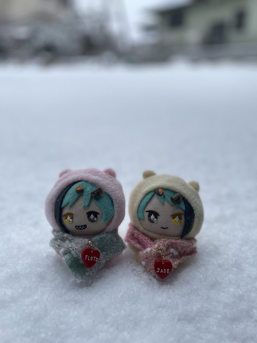 るるた ぬい部 tweet media