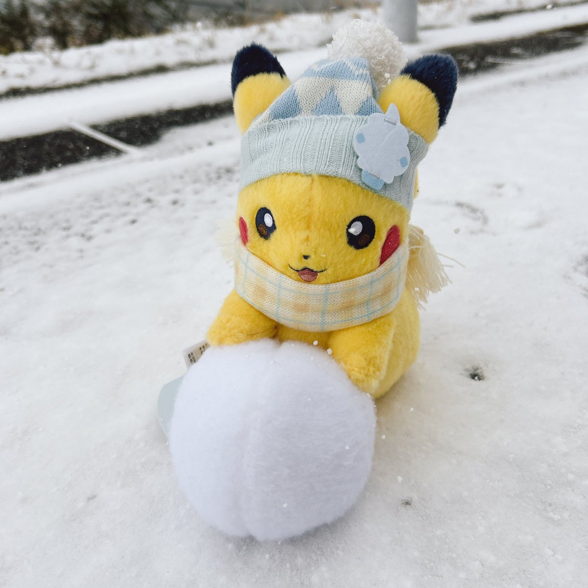 ピカチュウとゆきあそび⛄️ ゆきだるまつく〜ろ〜🎶
