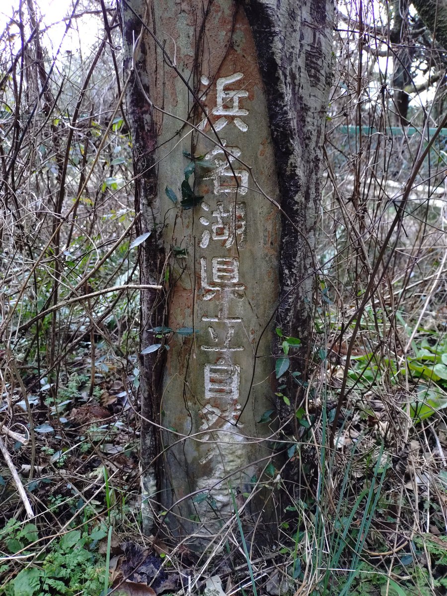 POTA活2箇所目は、JP-1443浜名湖県立自然公園でした。
最後は何か被って来たので、強制的にQRT(汗)
あまり飛んでないのかな？
交信して頂いた各局、有り難うございました🎵