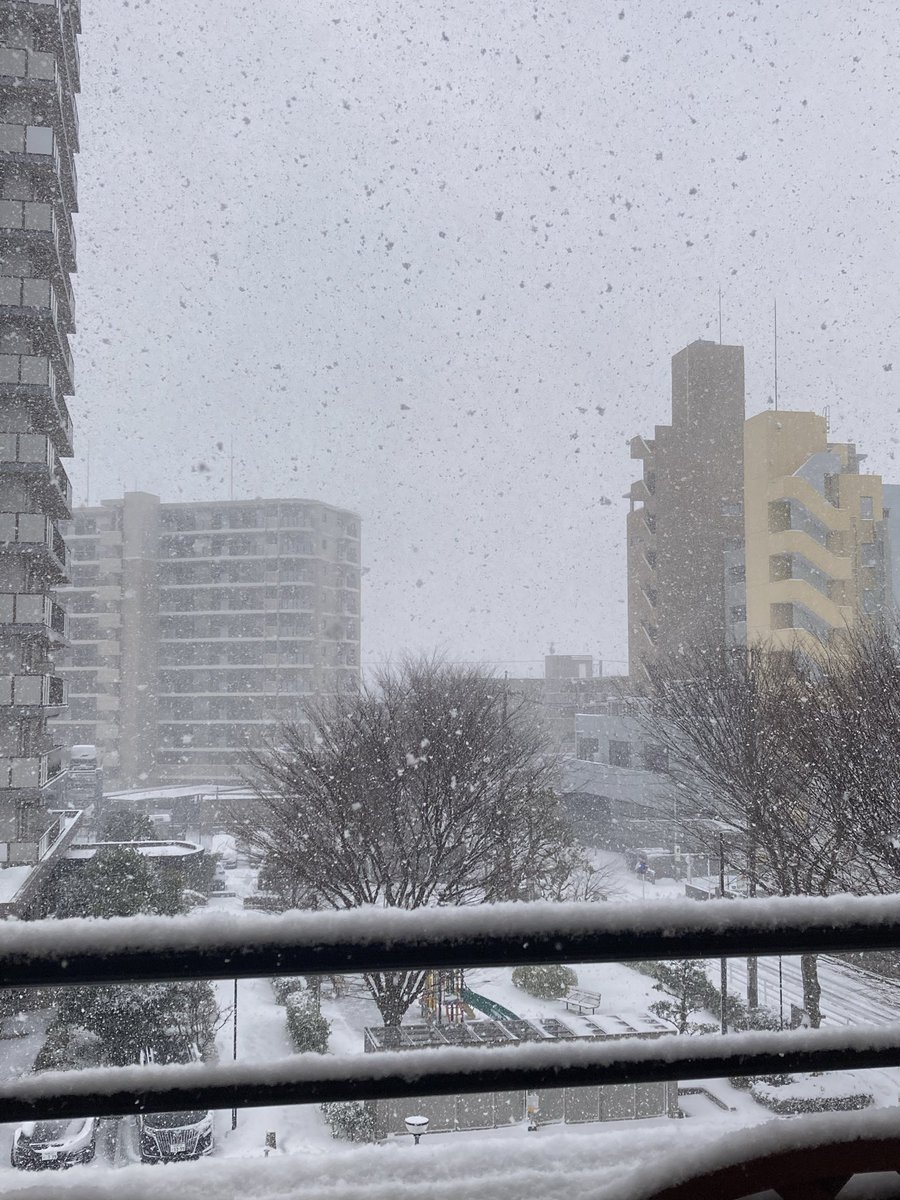 目覚めたら雪景色❄️😳

長崎行きのCREWの皆さん、無事に向かえているのかしら？？？
足元お気をつけて行ってらっしゃい！
楽しんできてくださいね🎵

#森崎ウィン
#MORISAKIWIN
#BBB