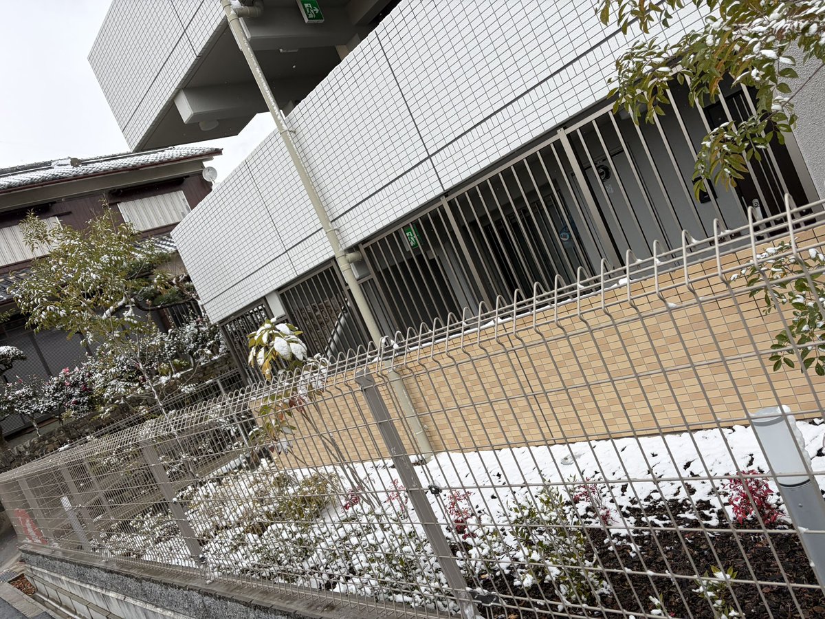 おはようございます☀️

起きたら雪が積もってました❄️.*˚

めちゃ寒いけどお仕事頑張ってきます✊🏻 ̖́-✨️

今日は18時にイラストshortが投稿されるよ〜🎨ᝰ✍︎*.ﾟ💕
お楽しみに💙🐾
