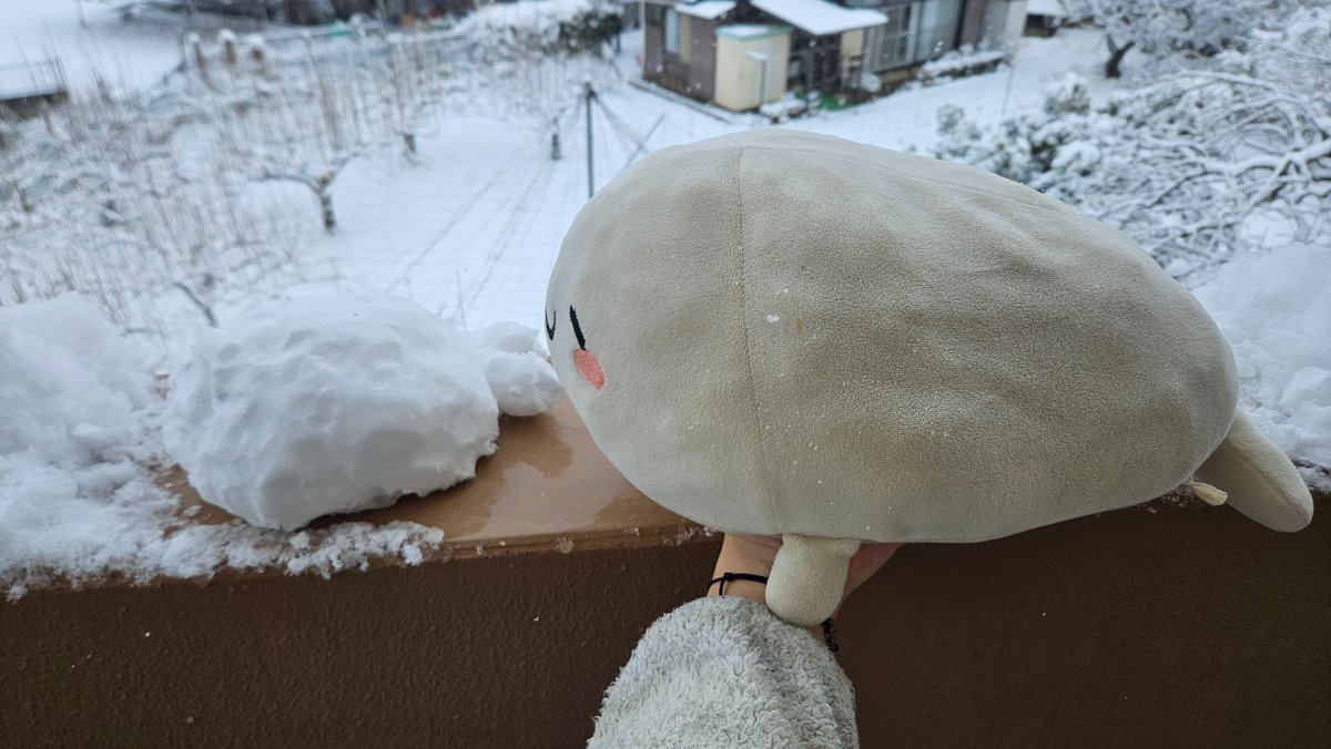 SayakaTriG's tweet photo. こざだるまつくったよー
(´꒳`*っ  )3(´꒳`*っ  )3
#北海の魔獣あざらしさん https://t.co/end7ZZInot