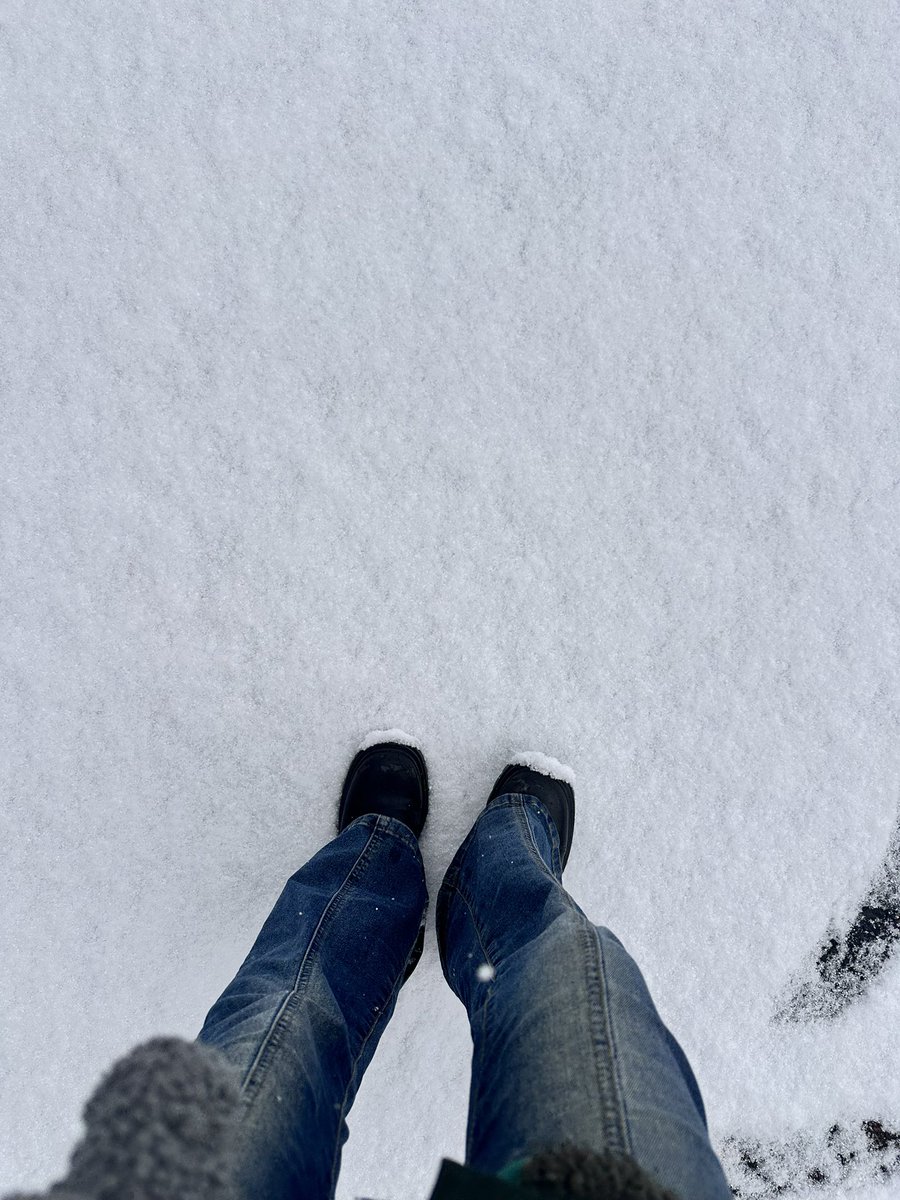 anna___tanaka's tweet photo. 雪があんまり嬉しくなくなったとき、
大人になってしまったんだなあって
少しだけ寂しく思ったのを覚えています💭

今日は雪のなか、
国民としての役目を果たしてきました！ https://t.co/d6xLfF8RLx
