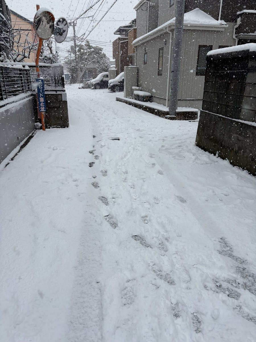 fkriders's tweet photo. こんな雪道歩いたの12年ぶりらしい https://t.co/brKHbxj7kx