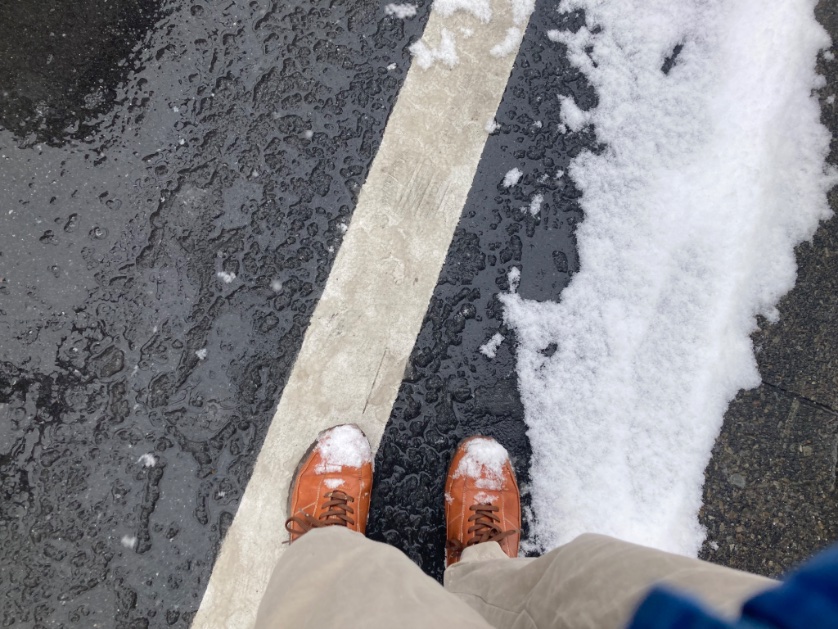 調布は雪でございます
#調布市