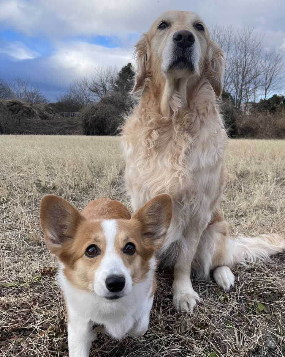 こま：「あれッ！？なんか降ってきたよッ！」
サン：「雪より粒々してるから、霙かな？」
こま：「あのコのとこは雪かな？霙かな！」
サン：「このまま雪に変わって、雪遊びできるくらい積もるとイイねッ！じゃあいくよッ！せえのッ！」
サン＆こま：「寒くたって、元気激アツで #愛してる