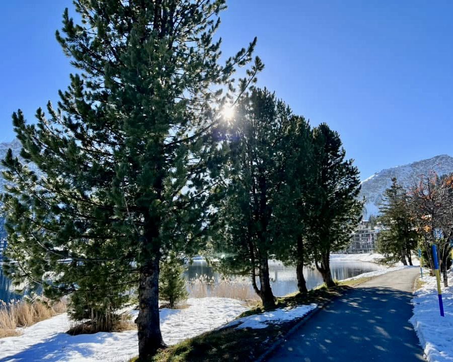 HrSchnyder's tweet photo. Arosa-Obersee-Eichhörnliweg
#wandern #hiking #arosa #oberseearosa #eichhörnliweg https://t.co/OW8w12RCrB