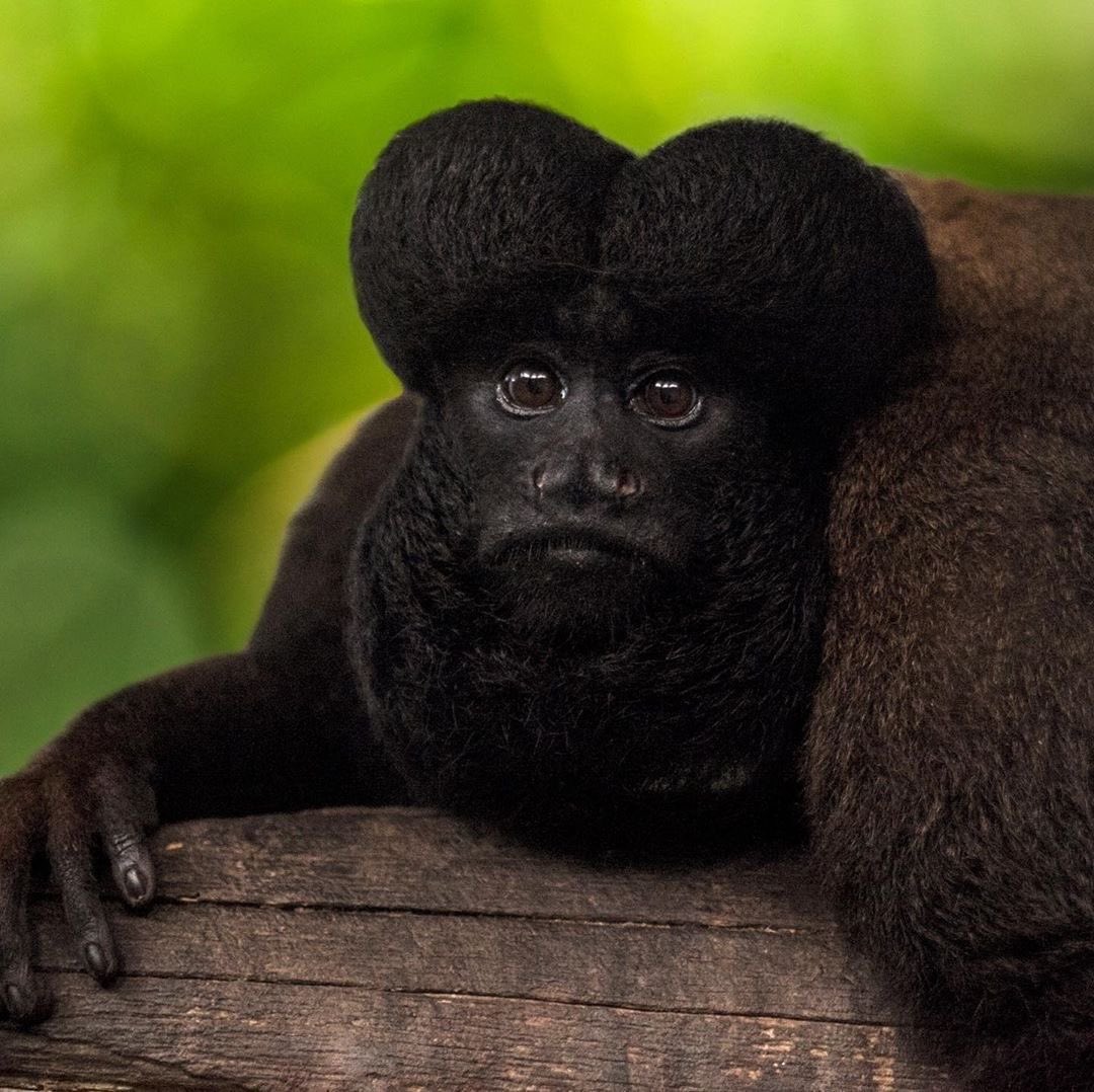 Apologizing in my sympathy buns