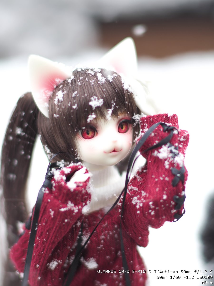 おひさしぶりです。
雪なので浮上しました。