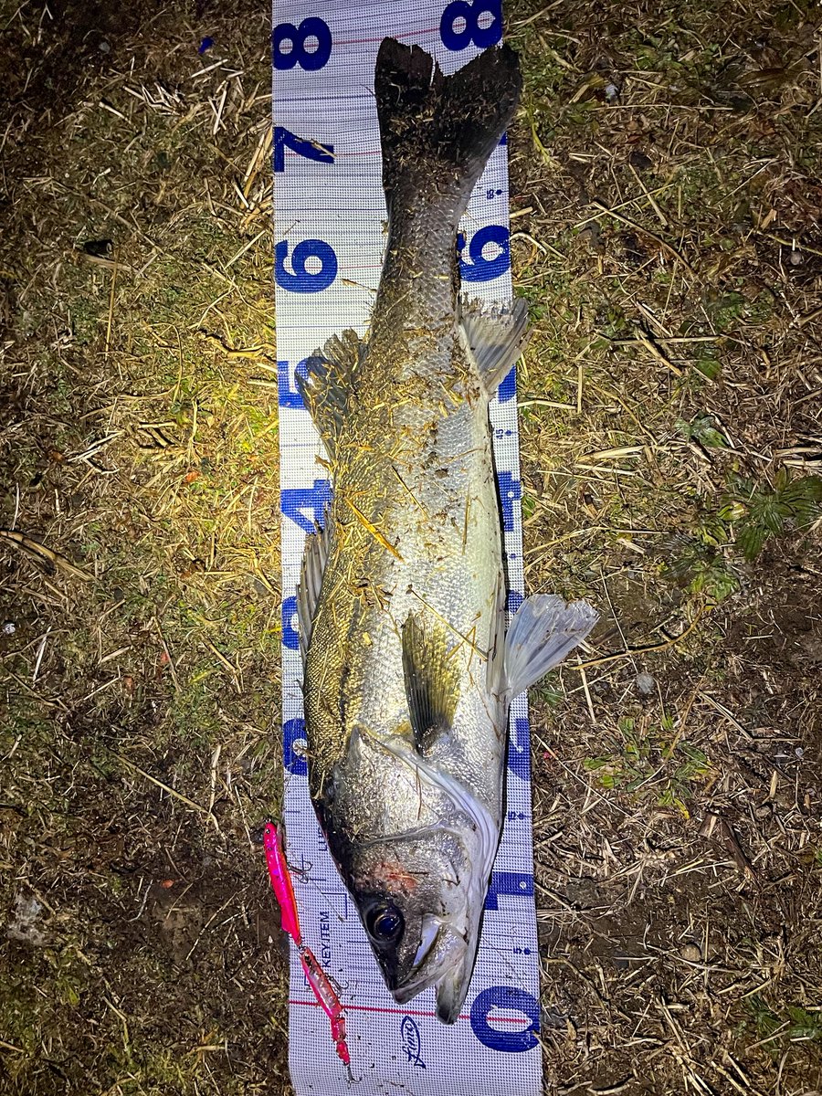 LONGIN (@longin2011) / Posts / X