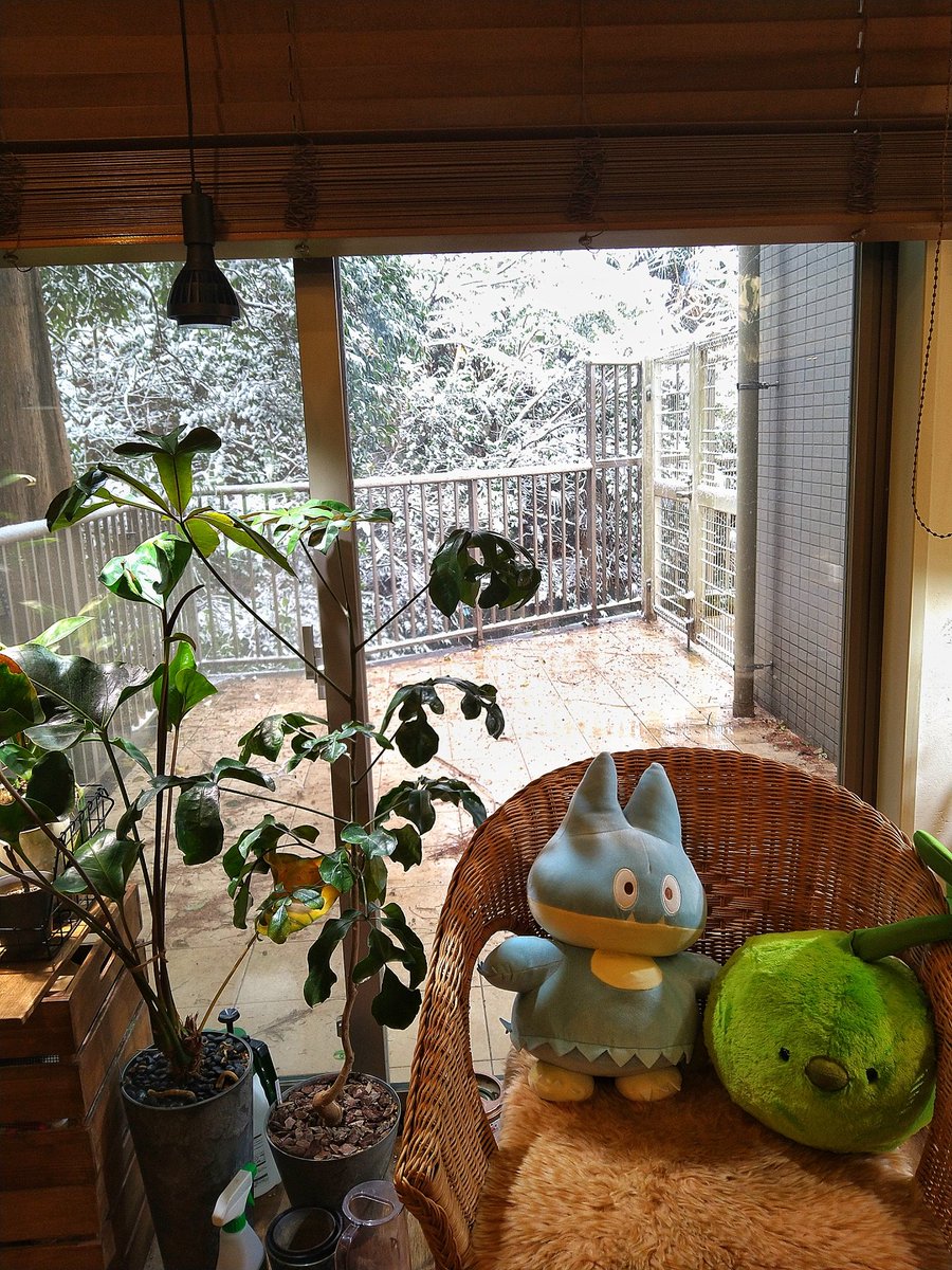 うわぁ❄