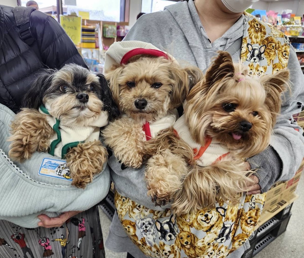 ミルクちゃん、ココアちゃん、
ユウちゃん💕
ご来店ありがとうございました☺️