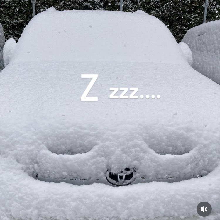 せんちゃん🐾 (@sen1043h) / Posts / X