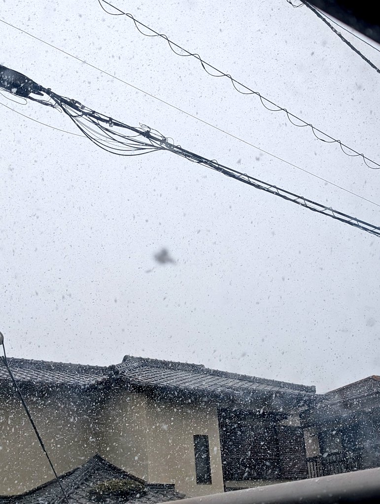 香川県のくせに大雪やん！！やっべえ！！