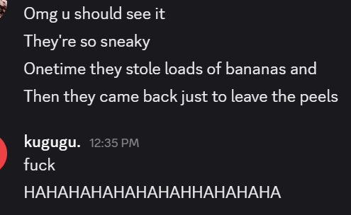 한편 스리랑카에서는... 
원숭이가 바나나를 훔쳐서 알맹이만 먹고 껍질을 다시 돌려줬다하네요
어쩜 사려깊기도하지 :)