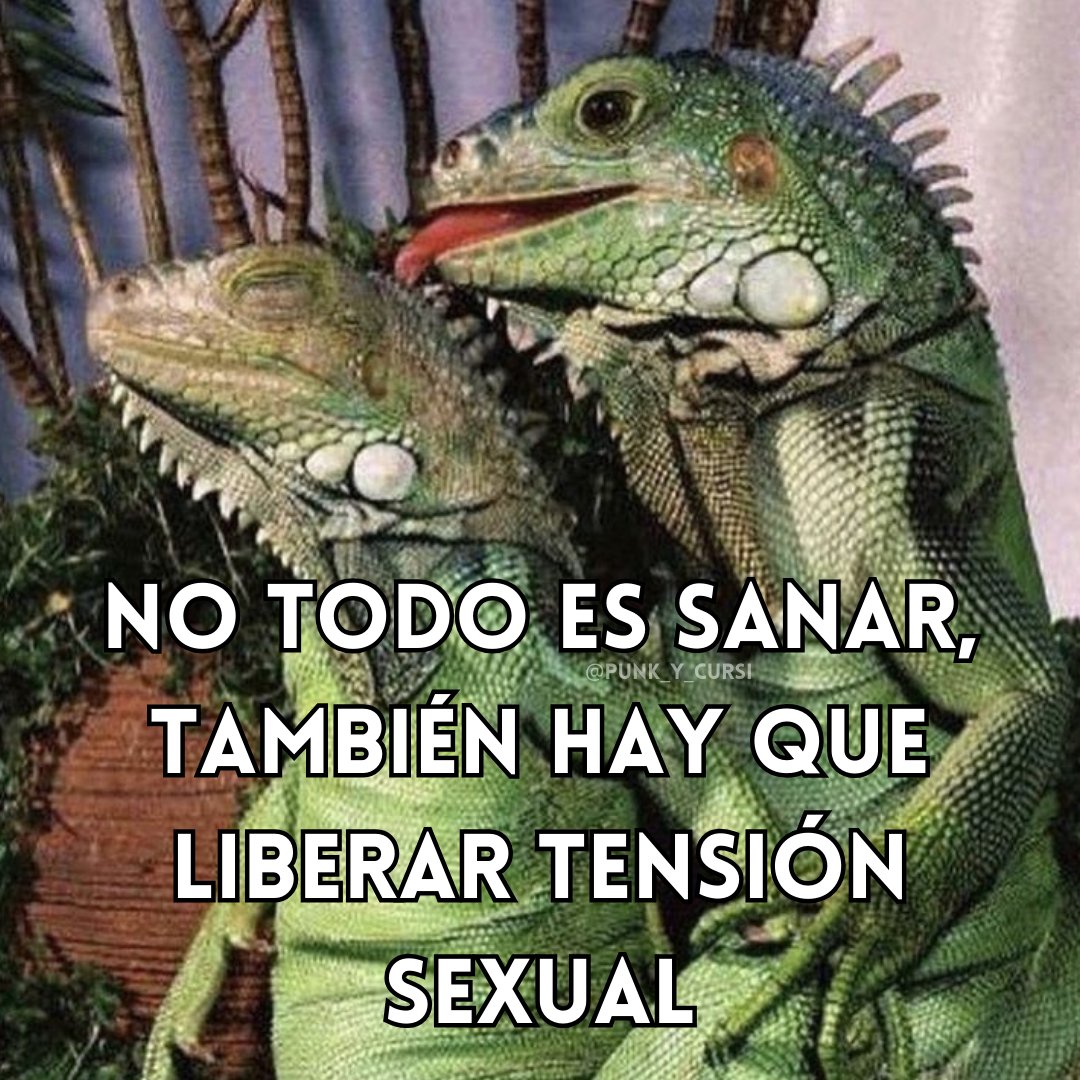 punk_y_cursi's tweet image. 🦎🦎🦎🦎