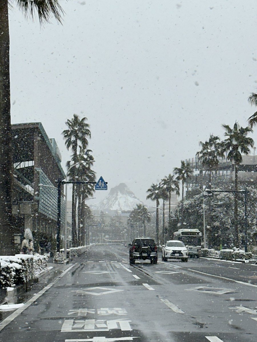 せっかくの雪なので、ディズニードライブ(ちゃんと冬タイヤ)

プロメテウス火山も雪化粧

こんな景色、人生で後何回見られるんだろう…！

#TDR__now