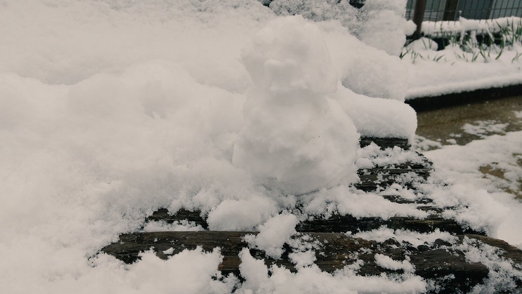 こんなに積もる事なかなか無いのでちょっとばかしはしゃいで来ましたよの図⛄️