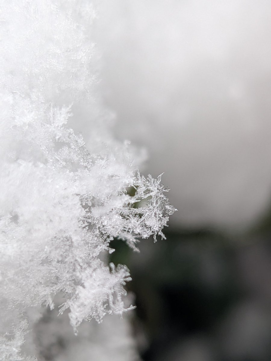 たけい tweet media