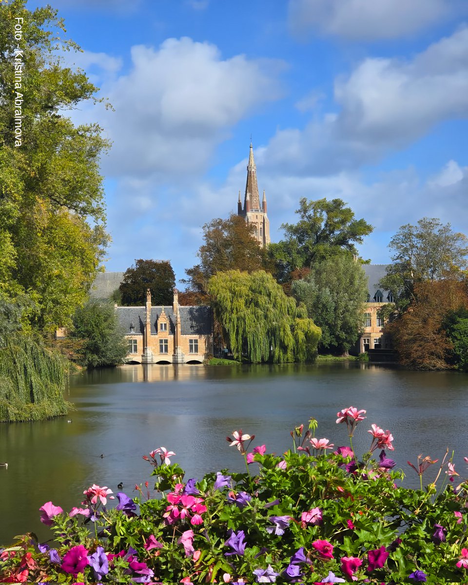 el_souvenir's tweet image. ”Brujas, Bélgica” 🇧🇪✨

Brujas encanta con su centro medieval, canales y arquitectura histórica. Chocolate, cerveza y paseos en barco hacen un destino cultural y romántico único.

@tourismbh

#Brujas #belgica #elsouvenir