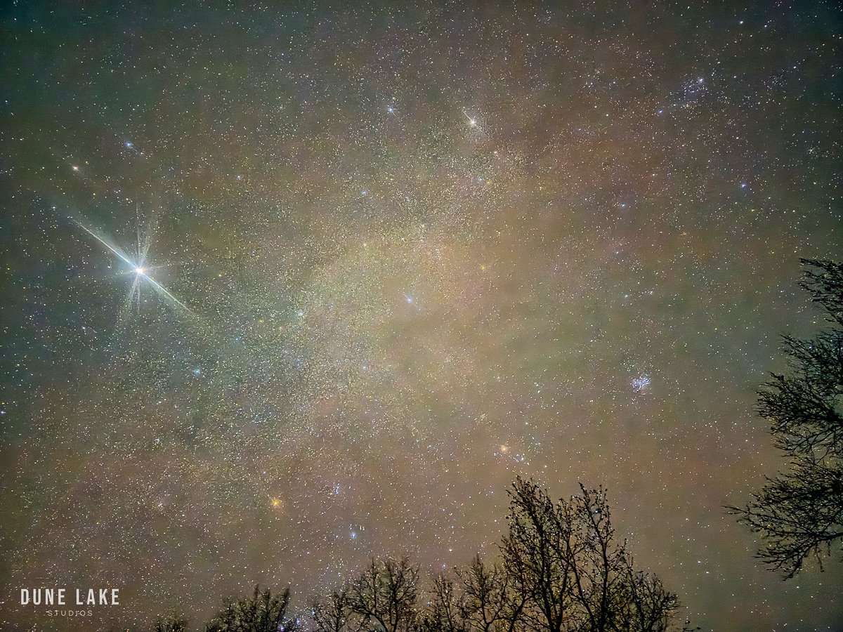 David Warren tweet media