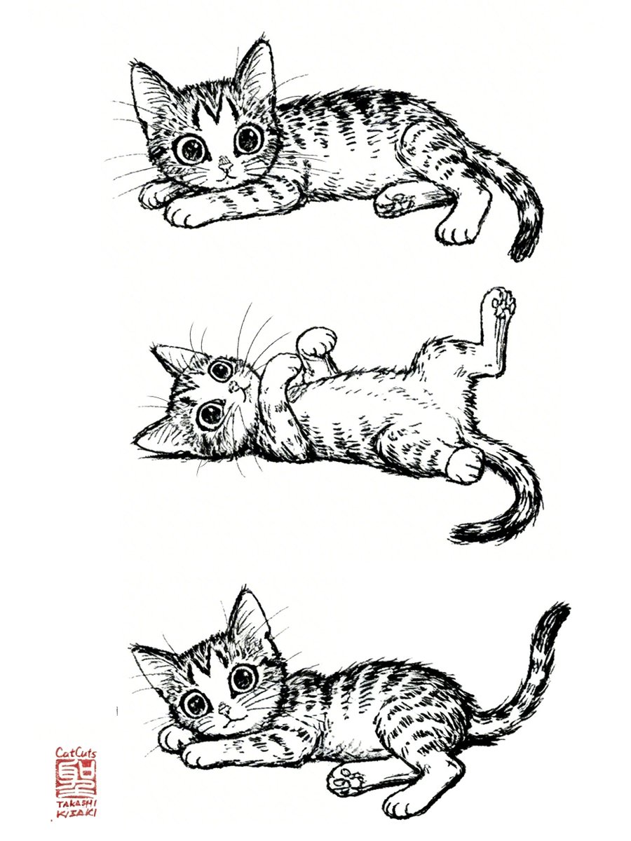 CatCuts✴︎描き猫✴︎ tweet media