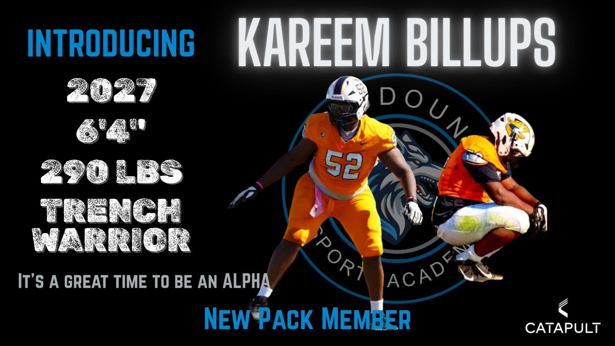 Loudoun Sports Academy (LSA) tweet media