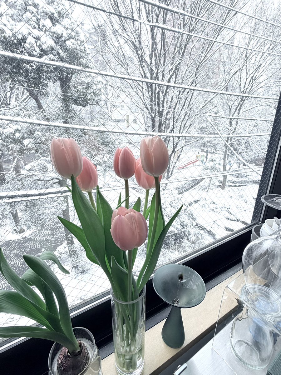 言葉も色合いも素敵。