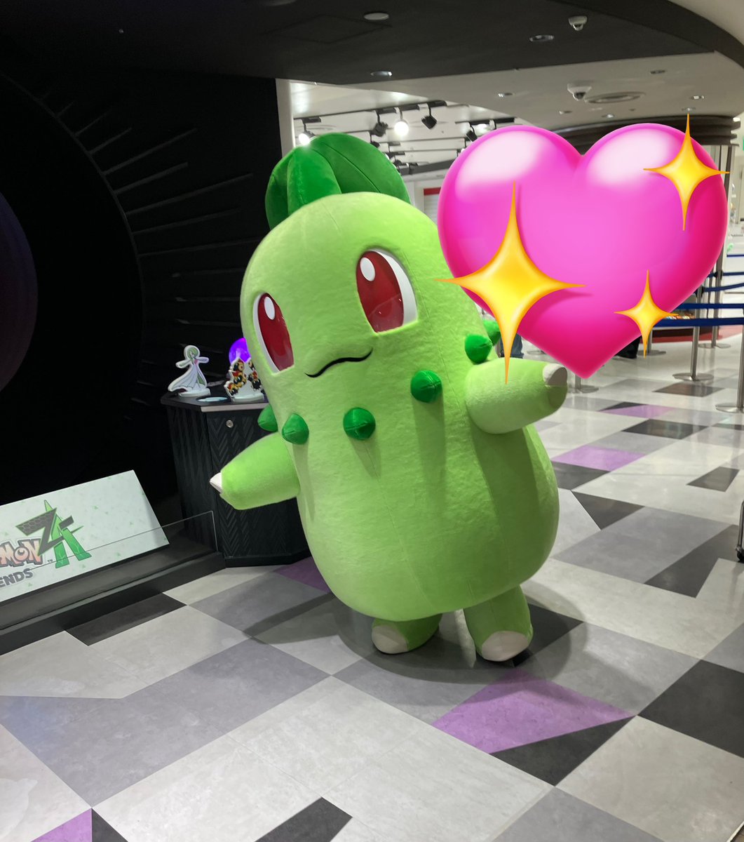 あら！可愛い チコリータっていうのね☘️