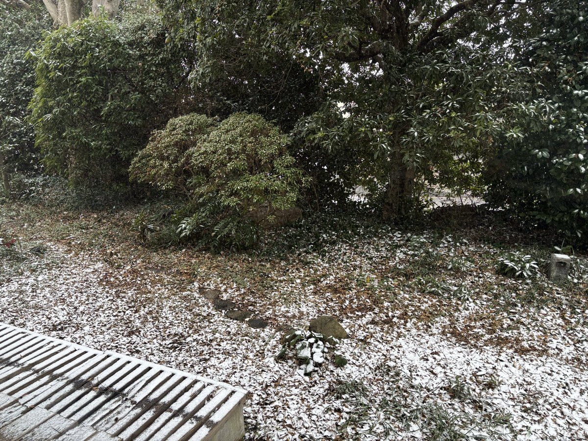 firmtofux's tweet photo. ☃️ https://t.co/gcwOhc78BY