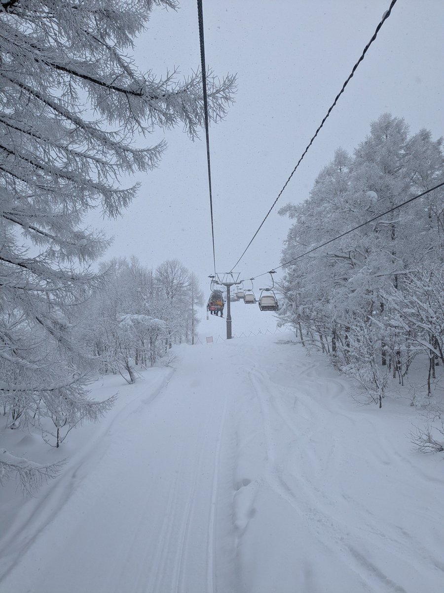 池の平
いい雪降ってる