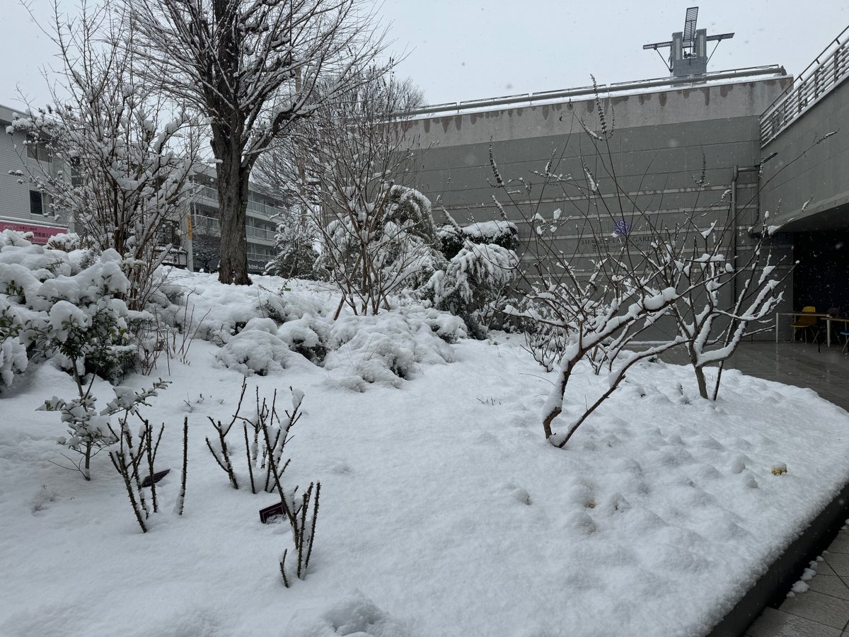 【千穐楽🌼当日券あり(見切れ席含む)】
カンパニー・グランデ『春の祭典』
ご来場の際はお足元にお気をつけて、お時間には余裕をもってお越しください。
2/8(日)15時開演 上演時間約2時間(途中休憩20分)  
🔹当日券は開演時間までSAFオンラインチケットから購入可能