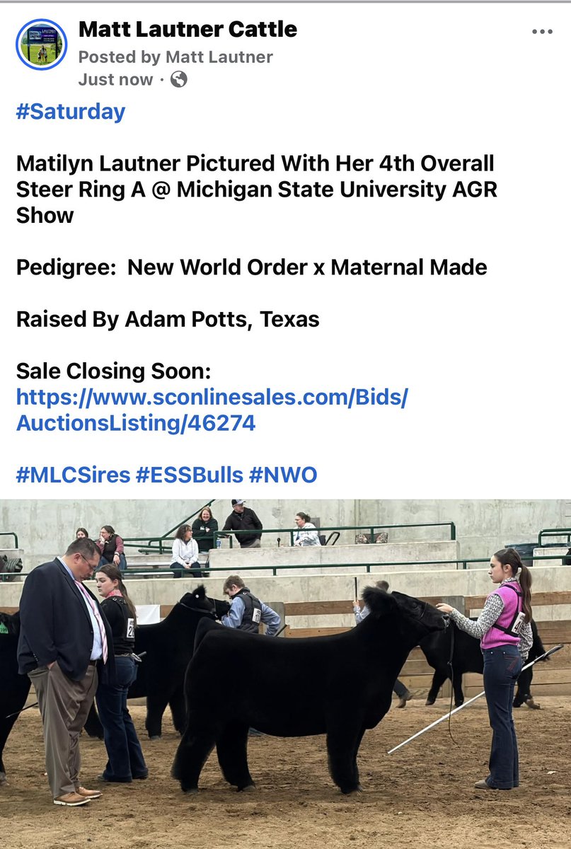 mattlautner's tweet image. #Saturday 

Matilyn Lautner Pictured With Her 4th Overall Steer Ring A @ Michigan State University AGR Show 

Pedigree:  New World Order x Maternal Made 

Raised By Adam Potts, Texas

Sale Closing Soon: 
sconlinesales.com/Bids/AuctionsL…

#MLCSires #ESSBulls #NWO