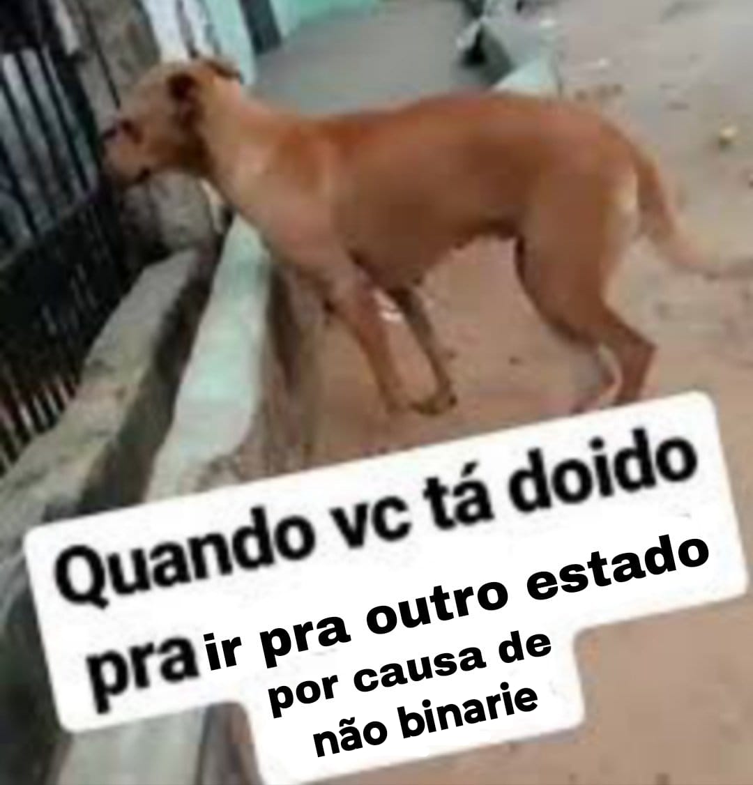 a cappy 🦇 | B.Q.G.N.Q tweet media