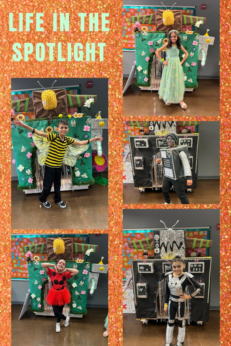 Daisy Garcia tweet media