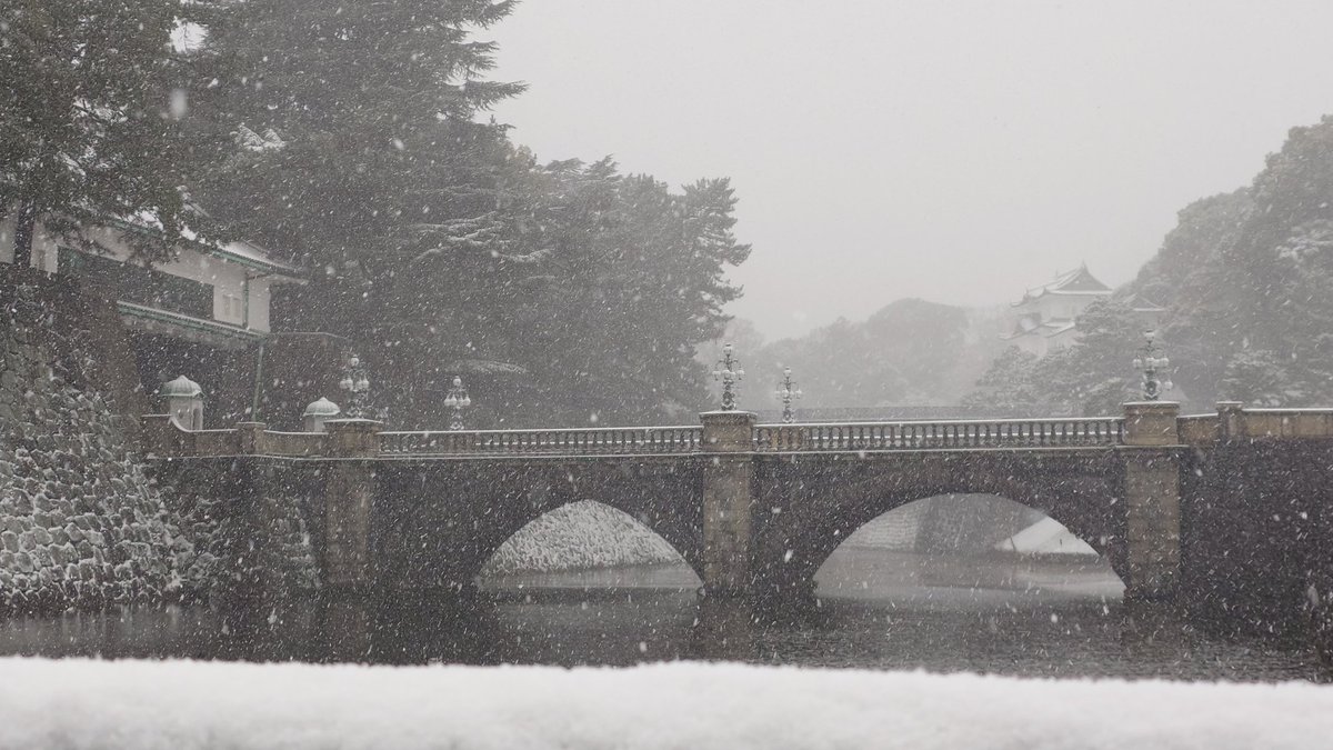 konoe_0185's tweet photo. 江戸、安政、雪…
帝都、昭和、雪…
東京、令和、雪…
不穏な皆さん、落ち着いて下さい
本日は国政を変える合法的な手段があります https://t.co/84TG8Tp3e0