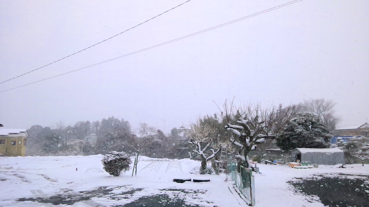 Japangard's tweet photo. 赤穂浪士の討ち入りも、二二六事件も
大雪の決断と実行は
政変のイメージがありますね。

喜びと希望を原動力に
決断し実行して進化し続ける
その永遠の継続状態が「弥栄」。

日本の弥栄のために、選挙に行こう(^o^)/ https://t.co/RYUvx4QZQq