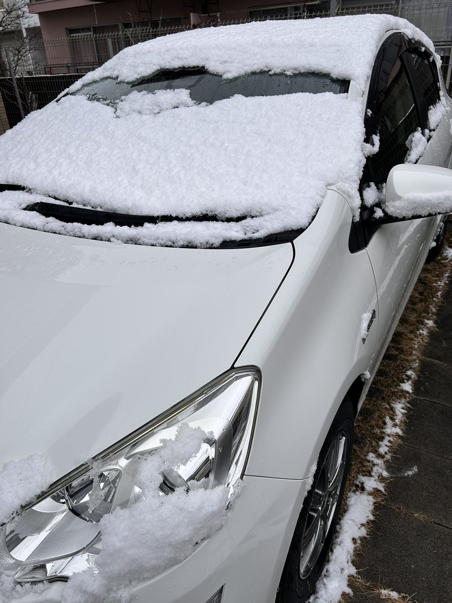 utauminaton's tweet image. 大阪では珍しい光景⛄️