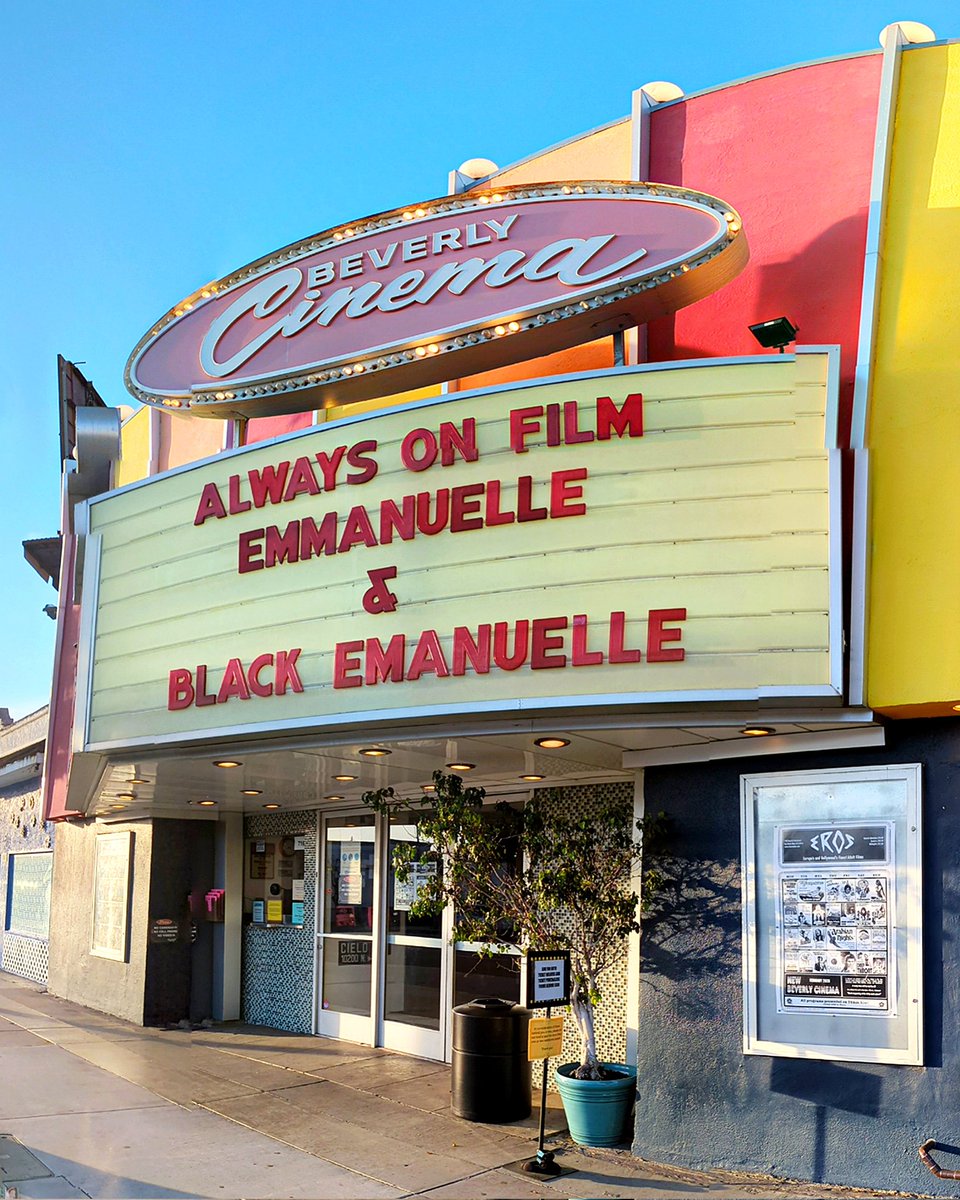 Matthew Chernov tweet media