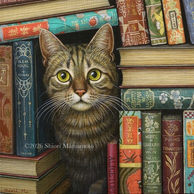 本日が最終日です。
極寒の1日となりそうですが、温かくしてお出かけ頂けましたら幸いです❄️☃️

「古書店の猫」
2026年　20.0×20.0㎝　板にガーゼ、膠、アクリル、油彩

店主の好みで夏目漱石の初版本が多いです。今話題のラフカディオ・ハーンの本もございます。接客は猫まかせの気楽な古書店です📚